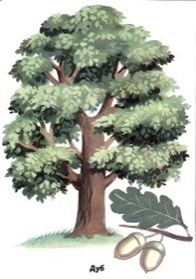 Описание: http://xn----gtbdmbeft1bdk.net/images/paint/13607.gif