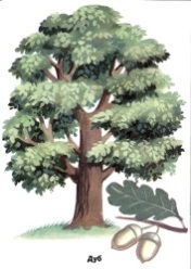 Описание: http://xn----gtbdmbeft1bdk.net/images/paint/13607.gif