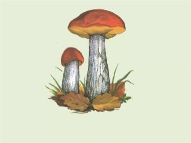 Описание: https://avatars.mds.yandex.net/get-pdb/2078959/5672f5e1-5329-4c37-ad3f-8f51a994ad49/s1200?webp=false