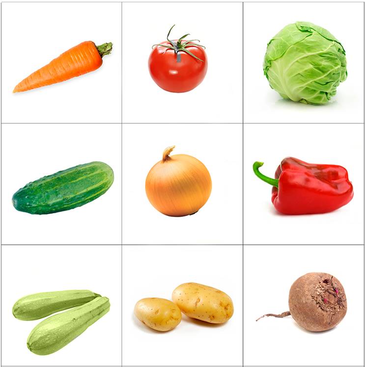 Описание: https://detkisuper.ru/wp-content/uploads/b/c/d/bcd98854739a4a92abae2f6c1305a96e.jpeg