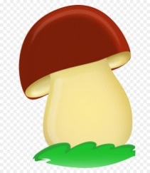 Описание: https://img2.freepng.ru/20180709/hc/kisspng-fungus-boletus-edulis-mushroom-drawing-child-5b43c5d652fd12.1873837115311682143399.jpg