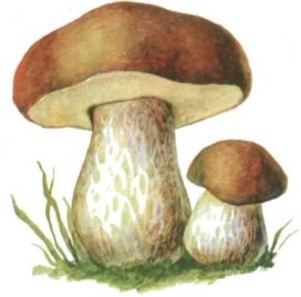Описание: https://tipik.ru/wp-content/uploads/2019/09/%D0%93%D1%80%D0%B8%D0%B1%D1%8B-%D0%B2-%D0%BB%D1%83%D0%BA%D0%BE%D1%88%D0%BA%D0%B5-%D0%BA%D0%B0%D1%80%D1%82%D0%B8%D0%BD%D0%BA%D0%B8-%D0%B4%D0%BB%D1%8F-%D0%B4%D0%B5%D1%82%D0%B5%D0%B9-002.jpg